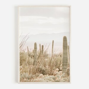 May include: A photograph of a desert landscape with tall, green cacti in the foreground. The cacti are surrounded by dry, brown brush and the background is a hazy, light blue sky.
