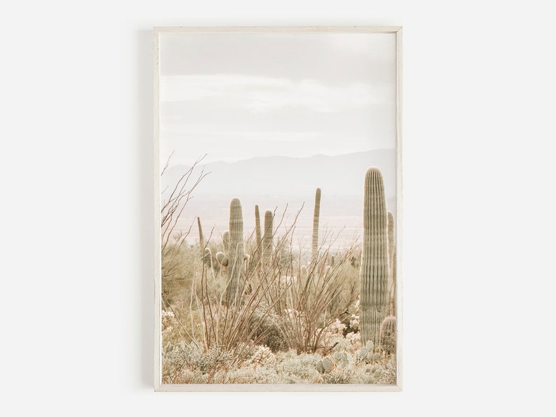 May include: A photograph of a desert landscape with tall, green cacti in the foreground. The cacti are surrounded by dry, brown brush and the background is a hazy, light blue sky.