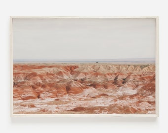 May include: A panoramic view of a desert landscape with rolling hills of red, orange, and white rock formations. The horizon is a hazy blue, and the sky is a pale gray.