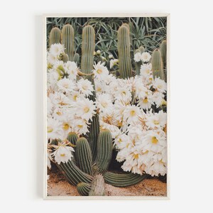 Cactus Flowers Printable