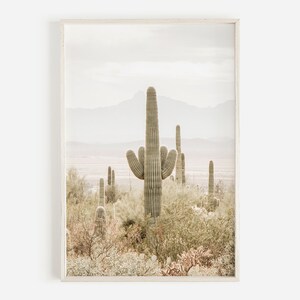 May include: A framed photograph of a desert landscape with a tall, green cactus in the foreground. The cactus is surrounded by smaller cacti and bushes, and the background is a hazy, light brown color.