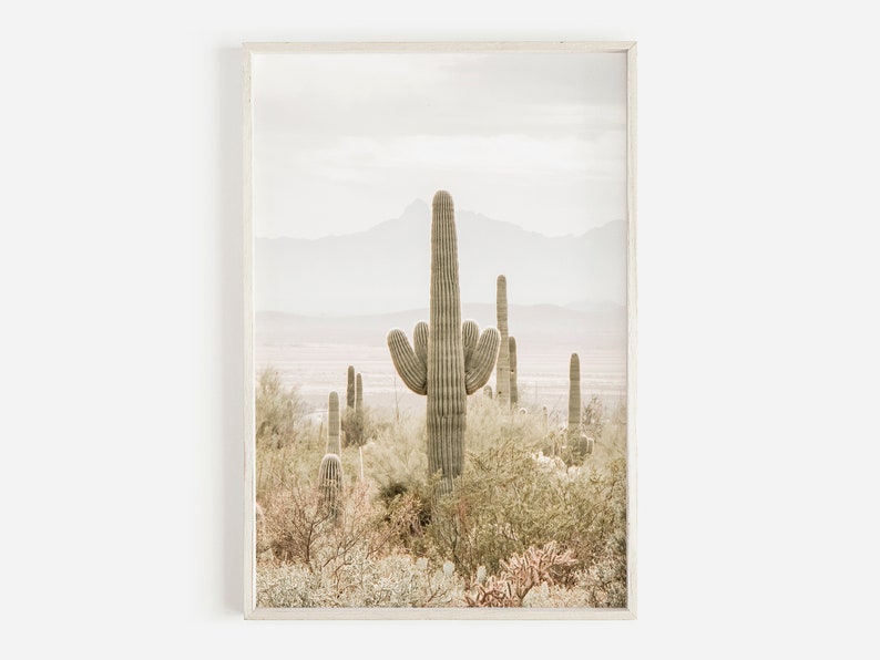 May include: A framed photograph of a desert landscape with a tall, green cactus in the foreground. The cactus is surrounded by smaller cacti and bushes, and the background is a hazy, light brown color.