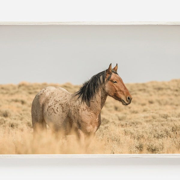 Wyoming Wild Horse, Open Range Horse Print, Wild Horse Photo, Red Roan Horse Printable, Western Decor, Horse Printable Wyoming Horse Digital