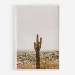 Saguaro único en el desierto de verano, impresión de cactus de Scottsdale, paisaje del desierto, cactus bajo el sol de verano, arte de la pared de Arizona Saguaro, arte de Scottsdale