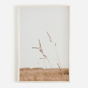 Wheat Field Poster, Farmhouse Decor, Botanical Wall Art, Farm Field Scenery, Boho Landscape, Wheat Field Digital Download, Farmhouse Prints