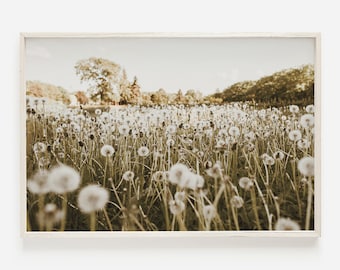 Dandelion Scenery, Farmhouse Decor, Field Of Dandelions, Downloadable Print, Dandelion Wall Art, Boho Farmhouse Print, Dandelion Printable