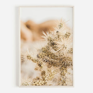 Desert Cholla Cactus, Close Up Cactus Print, Arizona Cholla Photo, Jumping Cactus, Cholla Digital Print, Arizona Plant Art, Desert Cactus