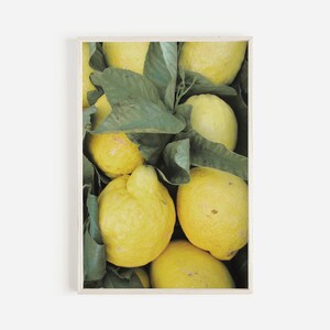 Italian Citrus Poster, Lemon Wall Art, Kitchen Decor, Amalfi Coast Citrus Harvest, Italy Lemon Wall Art, Italian Kitchen Printable