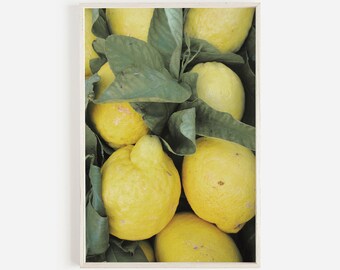 Italiaanse citrus poster, citroen kunst aan de muur, keuken decor, Amalfi kust citrus oogst, Italië citroen kunst aan de muur, Italiaanse keuken afdrukbaar