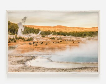 May include: A framed landscape print featuring a scenic view of a geothermal area with bison grazing in a field. Steam rises from hot springs and geysers, with a backdrop of trees and a golden sky. The print is in a white frame.