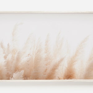 Pampas Blowing in the Wind, Bohemian Home Decor, Pampas Plant Wall Art, Neutral Beige Photography, Ethereal Botanical Art, Boho Printable