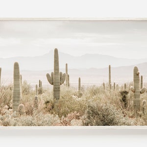 Wüstenwandkunst, Four Peaks Arizona, Boho-Dekor, Southwestern Poster, Arizona Wüstenlandschaft, druckbare Kaktusfotos, Saguaro Wüstendruck