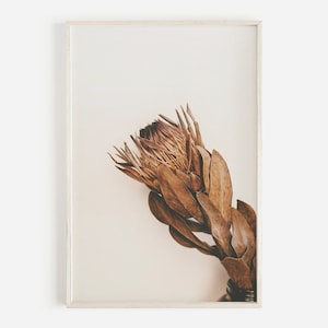 Boho Protea Flower, Floral Art Print, Protea Photo, Flower Wall Art, Boho Printable Art, Flower Photo, Printable Protea, Downloadable Print
