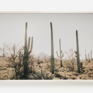 Hoch aufragende Saguaro Kaktus Landschaft, Saguaro In der Wüste, Sonora Wüste Wandkunst, Südwesten Dekor, Wüstenlandschaft von Arizona, Sonora Wüste Kunst