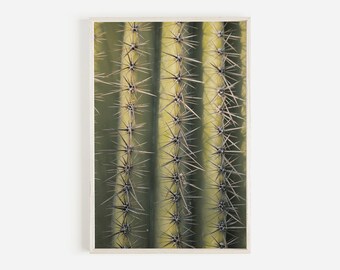 Close Up Cactus Photo, Cactus Ribs Print, Saguaro Spines Wall Art, Neutral Green Print, Saguaro Printable, Close Up Saguaro Wall Art