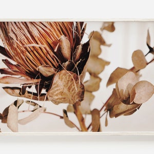 Protea Wall Art, Printable Protea, Flower Photo, Boho Printable Art, Downloadable Print, Protea Photo, Flower Wall Art, Floral Art Print