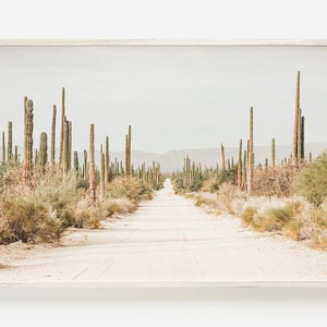 Deserted Desert Road, Cactus Lined Dirt Road, Saguaro Desert Print, Northern Mexico Wall Art, Cactus Landscape Print, Deserted Dirt Road Art