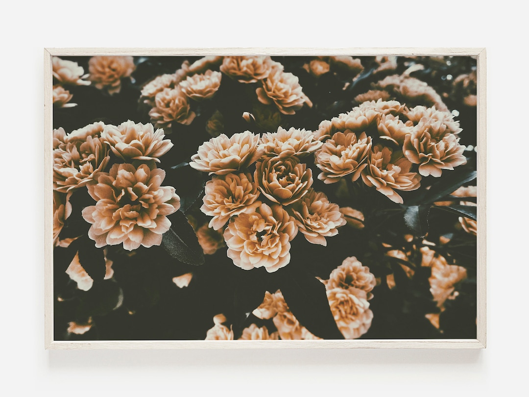 Dusty Rose Bush, Rose Wall Art, Pink Floral Print, Boho Bedroom Decor ...