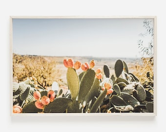 Sunny Desert Cactus Poster, Prickly Pear Scene, Arizona Landscape, High Desert Poster, Green and Pink Cactus, Southwestern Photography