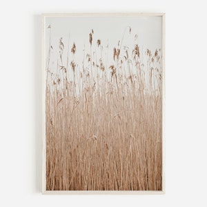 Boho Pampas Photo, Neutral Home Decor, Modern Farmhouse Print, Large Pampas Poster, Dried Pampas Wall Art, Downloadable Print, Printable Art