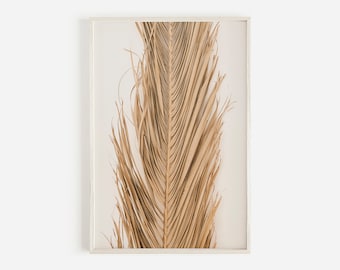 Suszone liście palmowe, sztuka ścienna boho, wydruk artystyczny z palmami, beżowa sztuka tropikalna, wydruk botaniczny, wydruk z liśćmi palmowymi, wydruk fotograficzny z suszonymi palmami wachlarzowymi