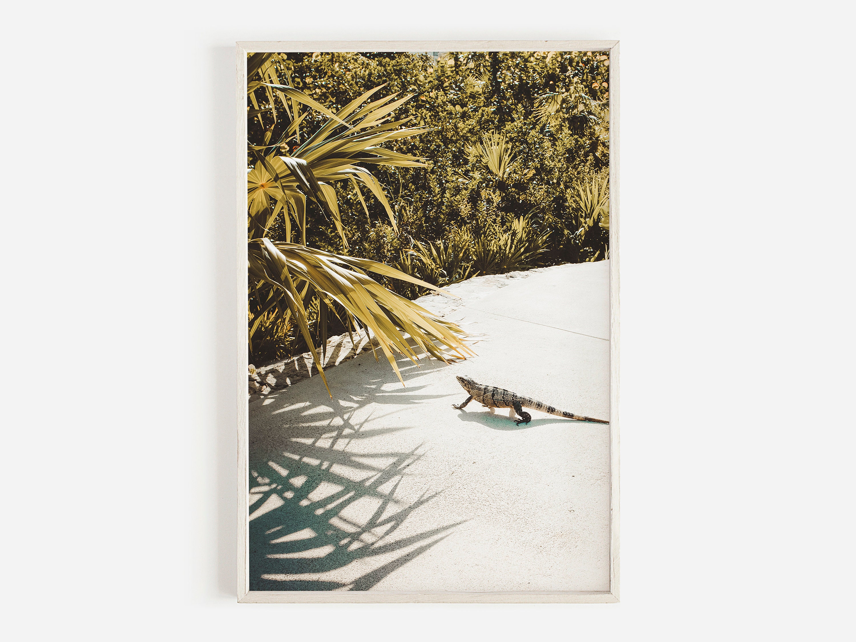 Iguana On Beach, Tulum Mexico Scenery, Iguana Scenery Print, Mexico Beach Animal, Tulum Iguana Photo, Tulum Mexico, Lizard Near Beach Photo