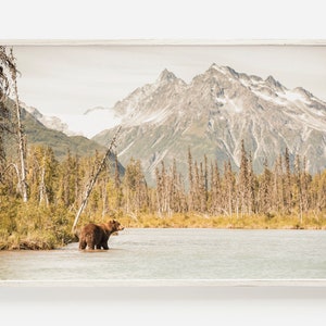 Grizzly Bear in Montana, Glacier Grizzly Print, Grizzly Bear Fishing, Rustic Bear Wall Art, Montana Western Decor, Nature Photography