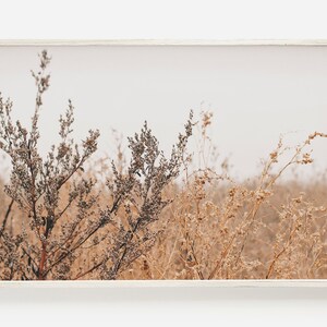 Wheat Field in Autumn, Dried Grasses Printable, Beige and Brown Decor, Boho Bedroom Print, Horizontal Wall Art, Wheat Field Photography