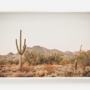 Scottsdale Kaktus Sonnenuntergang, neutrale Boho Wüstenlandschaft, Scottsdale Arizona Landschaft, südwestliches Dekor, Wüste druckbare Kunst, Boho Poster