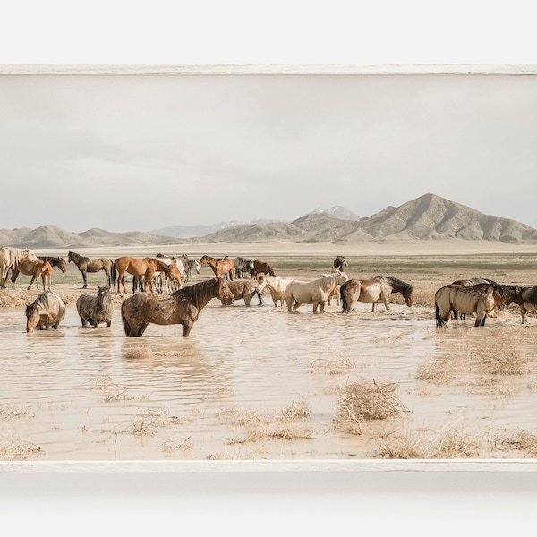 Wild Horse Herd Print, Boho Horse Decor, Farmhouse Horse Photography, Wild Horses in Utah, Neutral Boho Print, Utah Wild Horse Scenery