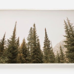 Mountain Range Forest, Pine Tree Printable, Western Landscape, Nature Scenery, Green Pine Trees Photo, Western Pine Forest Decor, Boho Print