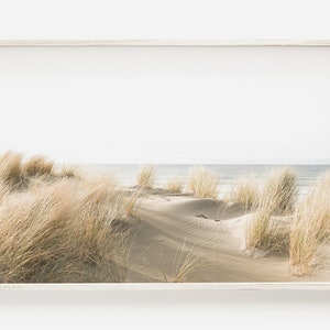 Küstendünengräser, ruhige Strandansicht, neutrales sandiges Ufer, Küstenlandschaft, ruhige Strandlandschaft, Dünengrasposter, Strandfotografie
