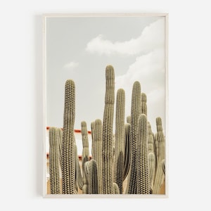 Saguaro Kaktus in Mexiko, großer Kaktus Foto, Kaktus digitale Kunst, Wüstenlandschaft, Nordmexiko Pflanzen, Saguaro Kaktus Fotografie