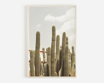 Saguaro Cactus in Mexico, Tall Cactus Photo, Cactus Digital Art, Desert Landscape, Northern Mexico Plants, Saguaro Cactus Photography