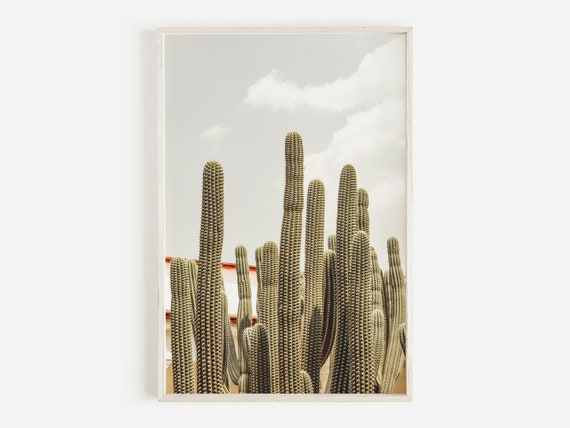 Saguaro Cactus in Mexico, Tall Cactus Photo, Cactus Digital Art, Desert Landscape, Northern Mexico Plants, Saguaro Cactus Photography