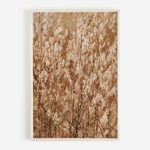 Farmhouse Wheat Poster, Digital Prints, Wheat Field Photo, Printable Wall Art, Farmhouse Art Decor, Digital Download, Farmhouse Wheat Print
