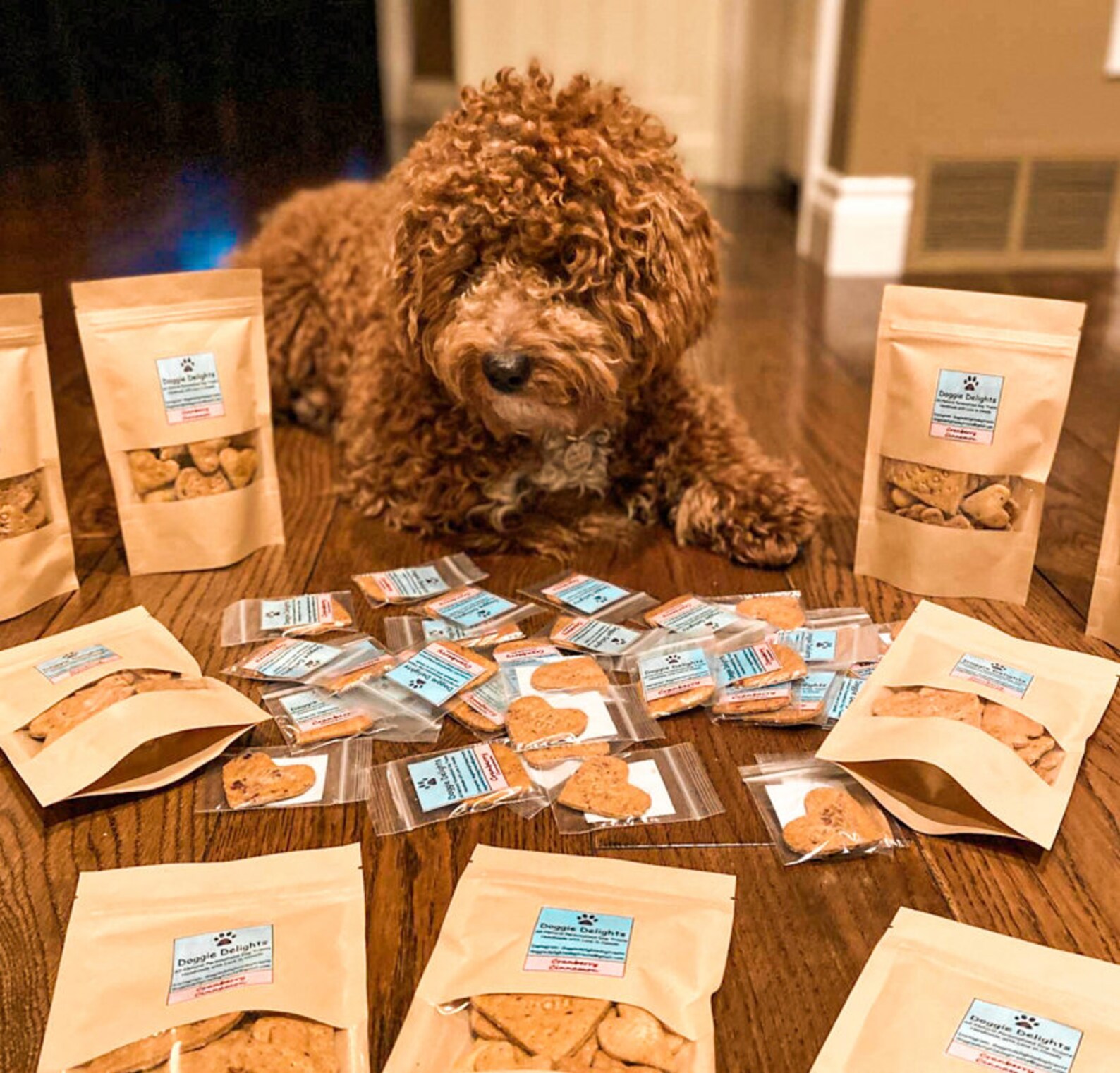 Doggie Delights Custom Dog Treats Etsy Canada
