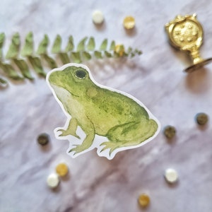 Frog - Matte Vinyl Sticker // illustration, gouache, art, laptop, water bottle, kawaii
