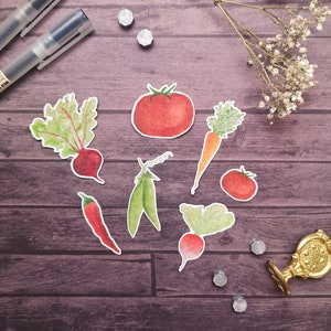 Pacote de adesivos de vegetais com 7 unidades // adesivos, ilustração, arte, aquarela, fofo, jardim, vegetais, diário, papelaria, kawaii