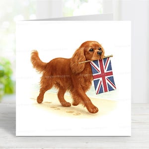 Peut inclure: Carte de vœux représentant un chien Cavalier King Charles Spaniel roux portant un petit drapeau britannique dans sa gueule. Le chien marche sur un fond clair.