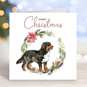 Carte de Noël de chien de montagne bernois, carte de voeux festive « Joyeux Noël », 6 x 6 po.