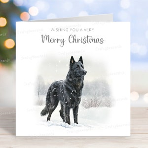 Carte de Noël pour chien de berger belge/Groenendael, carte de voeux festive pour chien « Joyeux Noël », scène de neige amusante en hiver, 6 x 6 po, blanc à l'intérieur
