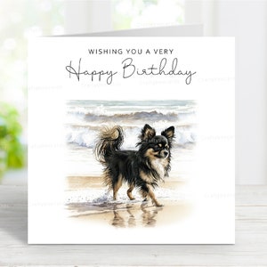 Carte d'anniversaire chihuahua (poil long noir et feu), belle carte de voeux de chien, scène de plage amusante, 6 x 6 po, blanc à l'intérieur