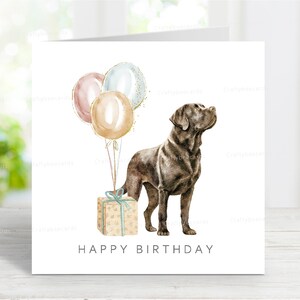 Verjaardagskaart labrador retriever (chocolade), leuke hondenwenskaart, 6 x 6 inch, blanco binnenkant