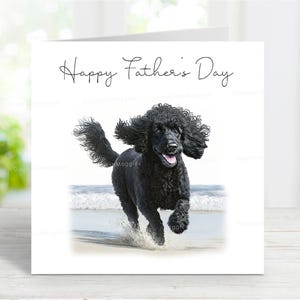 Poedel (zwart) Vaderdagkaart, Happy Father's Day hondenwenskaart, 6 x 6 inch