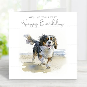 Cavalier King Charles Spaniel (Tri Color) Geburtstagskarte, schöner Hund Grußkarte, lustige Strandszene, 6 "x 6", innen leer