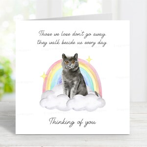 British Shorthair (Blue) Cat Sympathy Card - Cat Thinking of You Card - Sentimental Cat Loss Card - 6" x 6"