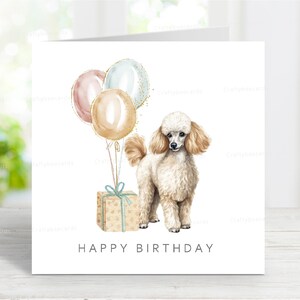 Poedel (abrikoos/crème) miniatuur/speelgoed hond verjaardagskaart, leuke wenskaart, mooie aquarel afbeelding, 6 x 6 inch blanco binnenkant