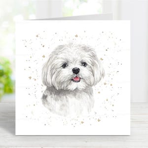 Carte de terrier maltais, carte de voeux de chien pour toute occasion, anniversaire, merci, rétablissement, sympathie, perte d'un animal de compagnie, 6 x 6 po