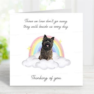 Cairn Terrier Beileidkarte - Hund denkt an Sie Karte - Sentimentaler Hundeverlust Zitat - Rainbow Bridge Hundekarte - 6 "x 6" N2